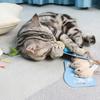 3 шт., кошка, котенок, играющий в плюшевую имитацию крысы, мыши, жевательная игрушка для царапин, укусов