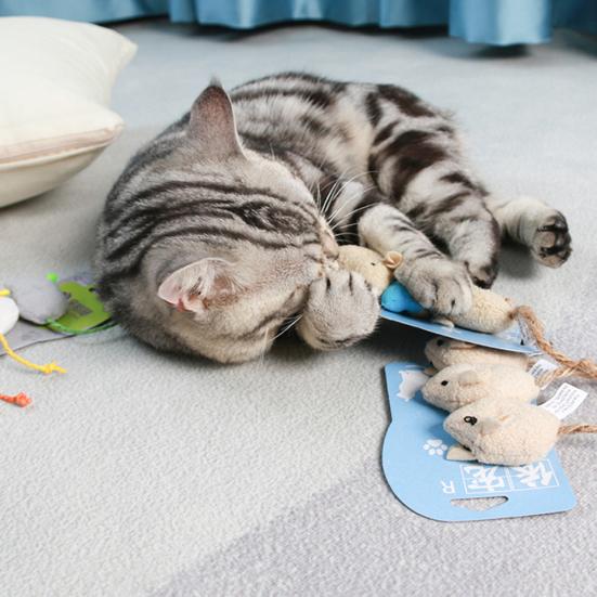 3 шт., кошка, котенок, играющий в плюшевую имитацию крысы, мыши, жевательная игрушка для царапин, укусов