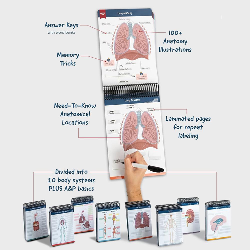 100+ Детальных анатомических иллюстраций Идеально для студентов, поступающих на сестринское дело, физиотерапию, радиологию, доврачебное образование и многое другое