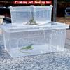 Transparent Turtle Transport Container Ventilated Reptile Terrarium Animal Habitat Cage  Pet House