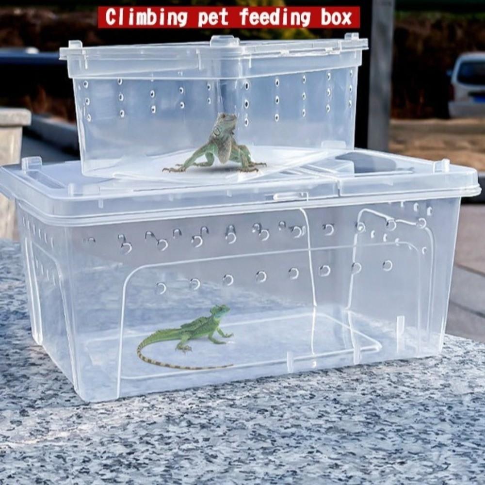 Transparent Turtle Transport Container Ventilated Reptile Terrarium Animal Habitat Cage  Pet House