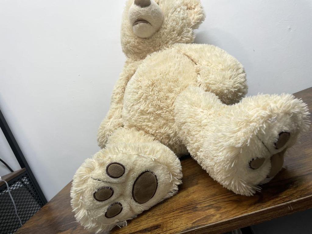 [USED] HUGFUN 70cm Teddy Bear