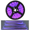 [Ledoversea Upgraded Edition] 5m Waterproof Black Light Strip with 300 LEDs, High Brightness, 390nm-400nm, Wired On Both Ends, 12V, Cuttable, for