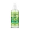 Well-being Hydro Face Mist Green Tea 100ml