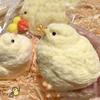 Милый Пищащий Цыпленок Игрушка-Сжималка Ручной Работы Желтый Большой Цыпленок Плюшевая Силиконовая Игрушка Снятие Стресса Липкая Кукла Кавайный Подарок для Детей