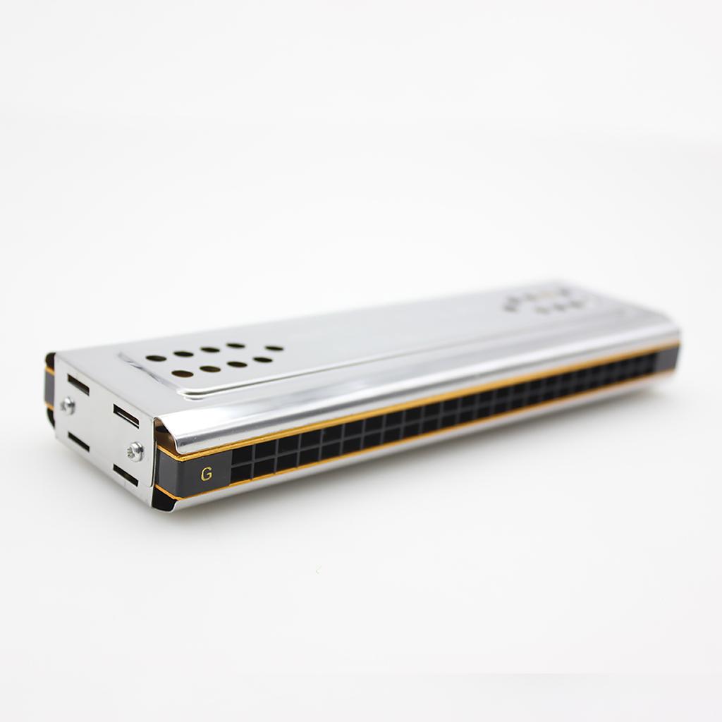 Двусторонняя тремоло-гармоника Swan 2 в 1, губная гармошка, дуральная, тональности C и G, 24 двойных отверстия, язычковый духовой инструмент с мягкой подкладкой