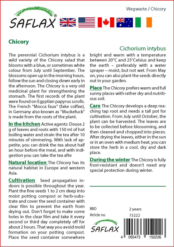 SAFLAX Garden in the Bag - Цикорий - 250 семян - С субстратом в подходящем пакете - Cichorium intybus