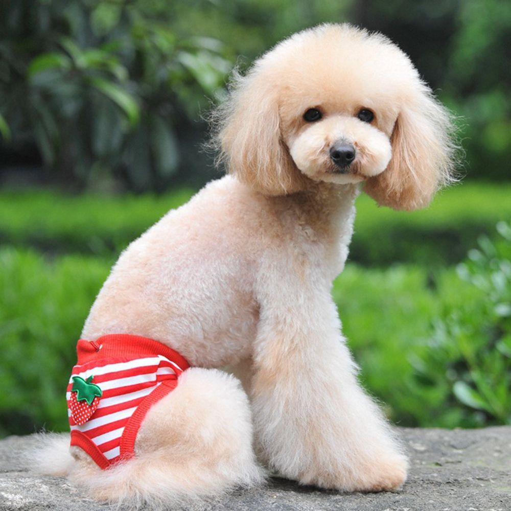 Physiological Comfortable Wearing Pet Diaper Pants Pet Supplies Dog Clothes Dog Sanitary Pants