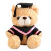 23/28cm Bachelor Bear Plush Toy Soft Bear Animal Doll Doctor Cap Graduation Bear Doll  Party Favors
