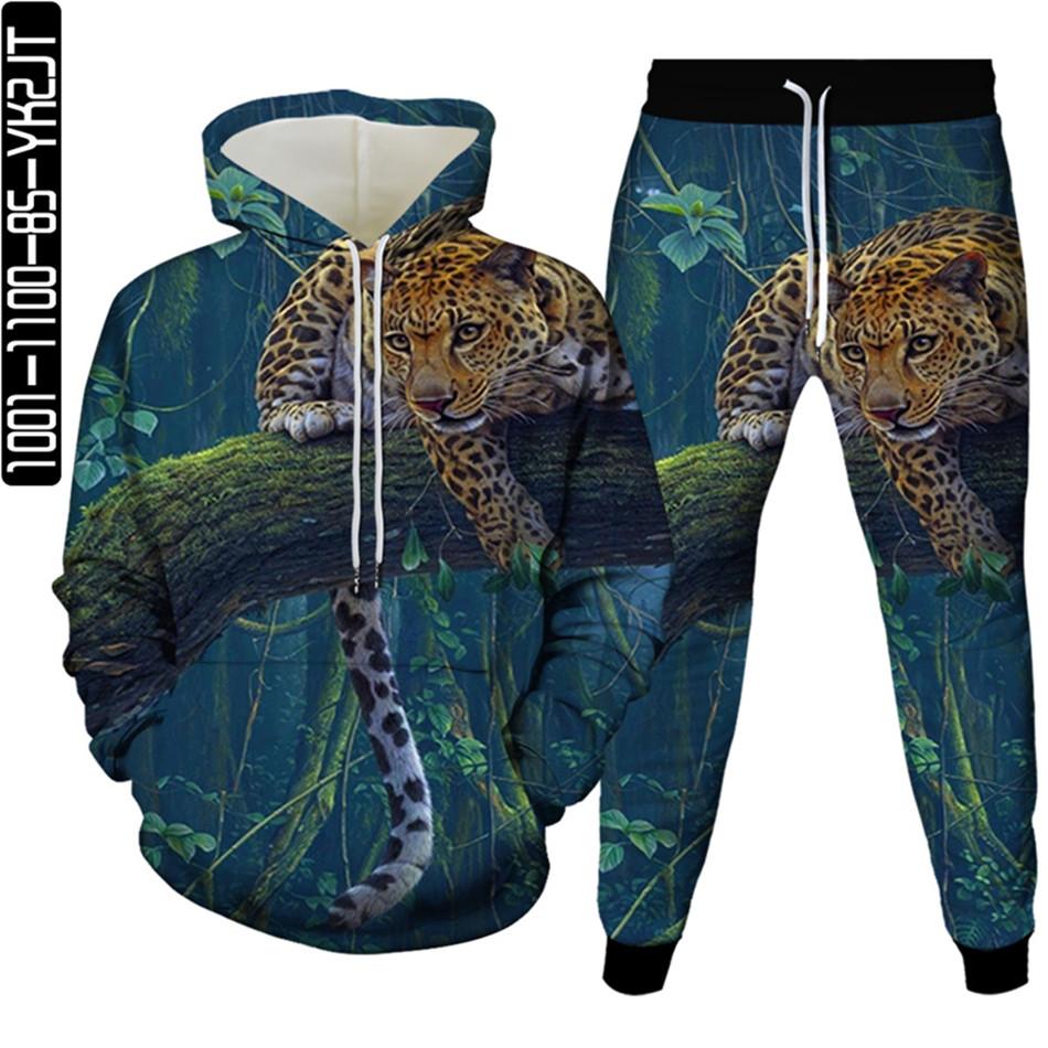 Весенне-осенний мужской спортивный костюм с 3D принтом животных и леопарда, 2 предмета, женский спортивный костюм больших размеров S-6XL, одежда с капюшоном и брюками, спортивный комплект
