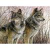 Diamond Embroidery Two Wolves 5d Diy Wolf Diamond Painting