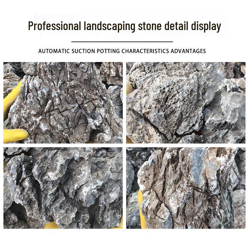 Набор камней для аквариума и бонсай «Лазурный дракон»