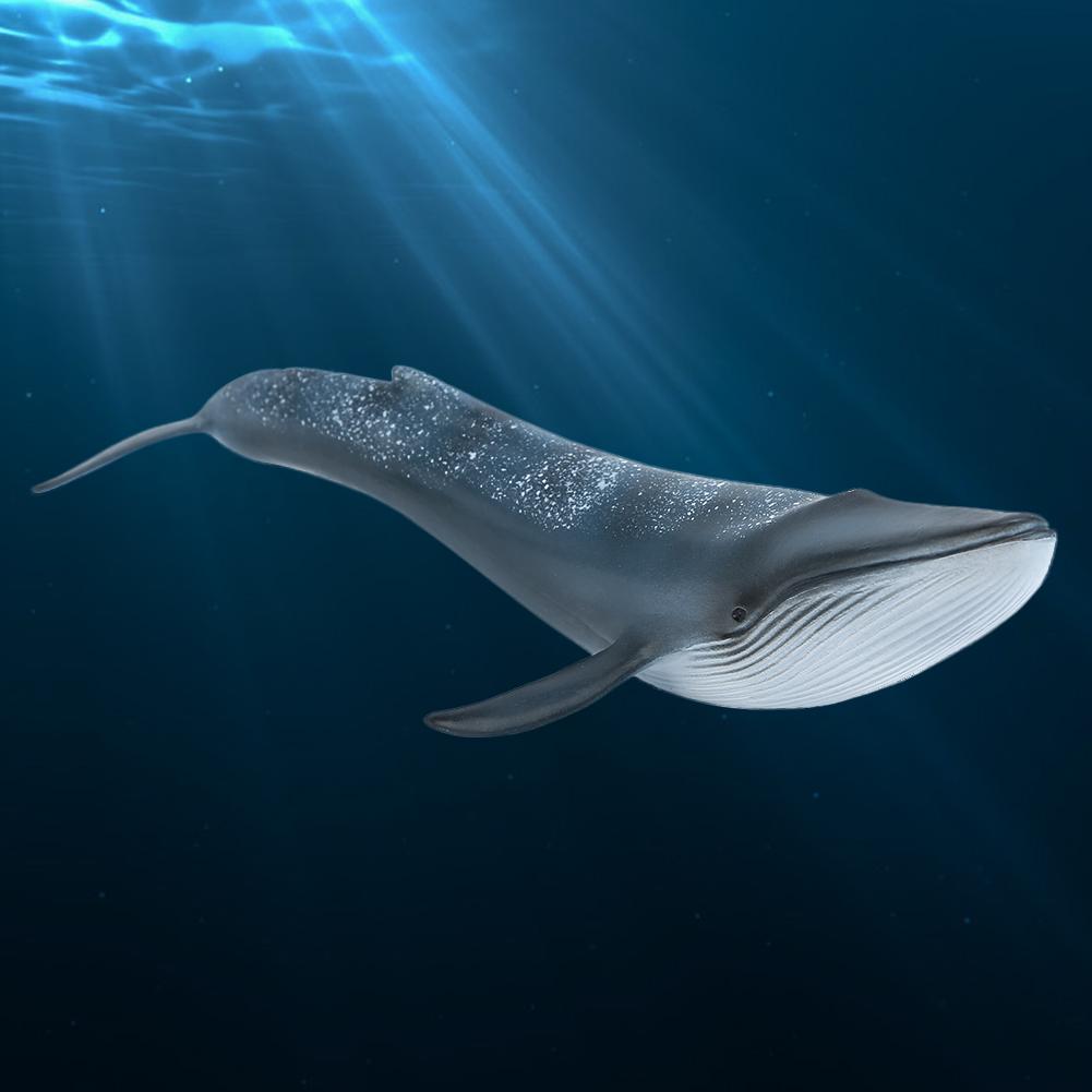 Имитация кита Миниатюрная игрушка для животных Коллекция Фигурка Домашний декор Орнамент (Синий кит)