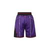 Mitchell & Ness x Just Don Баскетбольные шорты Унисекс SHORBW18055-TRAPURP