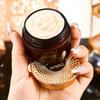 Cordyceps Ganoderma Lucidum Concealer Clear and Hydrating Cream