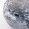 30-60cm Seal Pillow Doll Soft Sea Lion Plush Toys Sea World Animal Seal Plush Stuffed Doll Baby Sleeping Pillow for Kids Gifts
