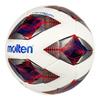 Тренировочный футбольный мяч Molten F5A3600-R, размер 5