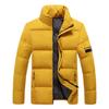 Мужская хлопковая тонкая зимняя куртка с воротником-стойкой, мужская стеганая куртка, пуховая куртка, более плотная стеганая куртка для мужчин