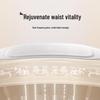 Xiaomi EMS Mid-Low Frequency Waist Massager with Heat