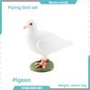 Pvc Bird Magpie Pigeon Model Set With Realistic Design For Nature Decor And Collectors