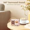 Retro Radio Bluetooth Speaker Rechargeable, Bluetooth 5.0/Superior Good Sound, Supports USB/TF/AUX/Hands-Free Calls
