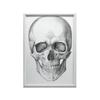 Czaszka (Front) - Plakat Anatomiczny Czaszka (Front) - Plakat Anatomiczny, 50X70 Cm, Bez Ramy, Płótno Premium Na Blejtramie
