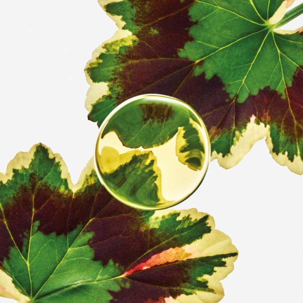 Loewe Essencia Elixir Eau De Parfum 50ml