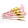 Makeup Brush Set Cosmetic with Transparent Handle for Women Foundation Face Powder and More