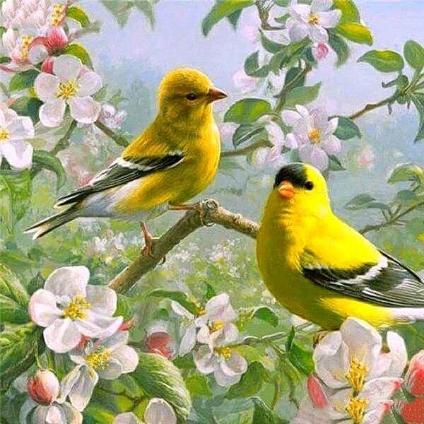 5D алмазная живопись Пион горный хрусталь комплект Алмазная вышивка цветок полная квадратная дрель вышивка крестиком рукоделие домашний декор