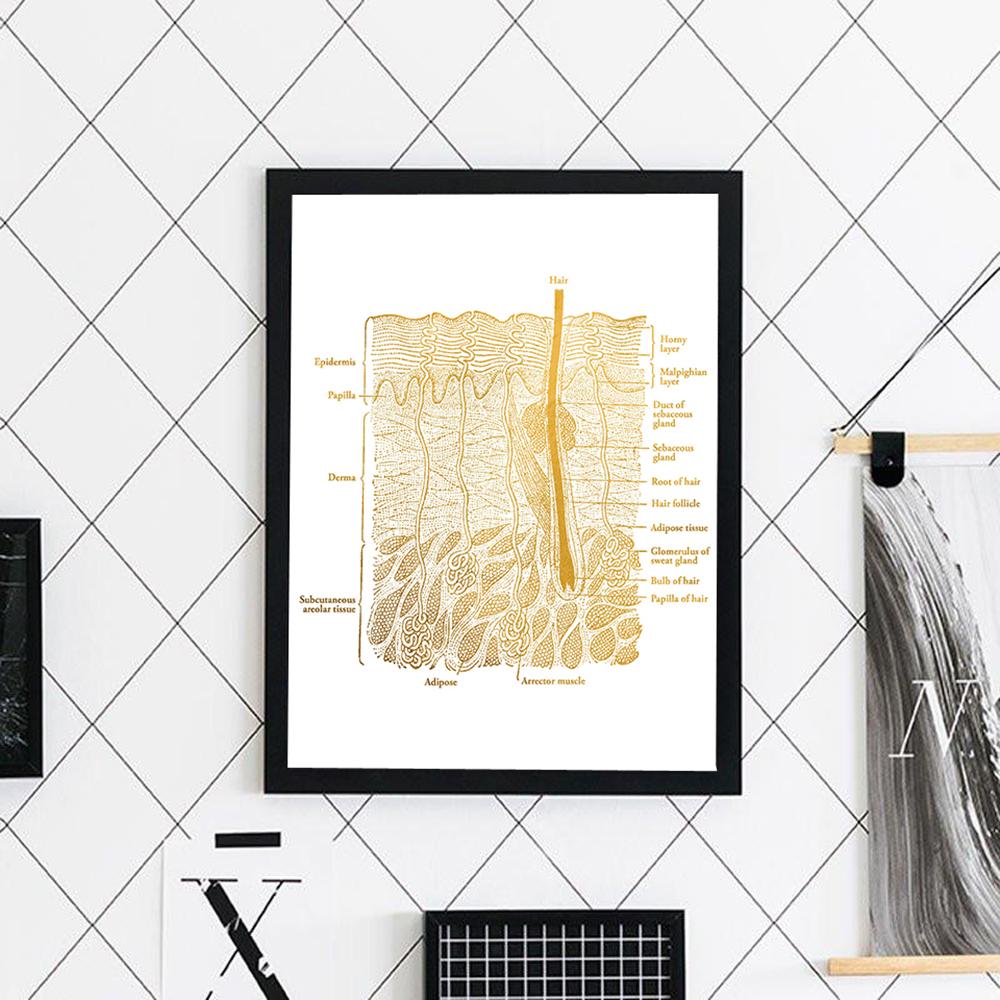 Анатомический постер с анатомией кожи, ламинированный холст, печать, медицинское образование, доктор, настенная живопись