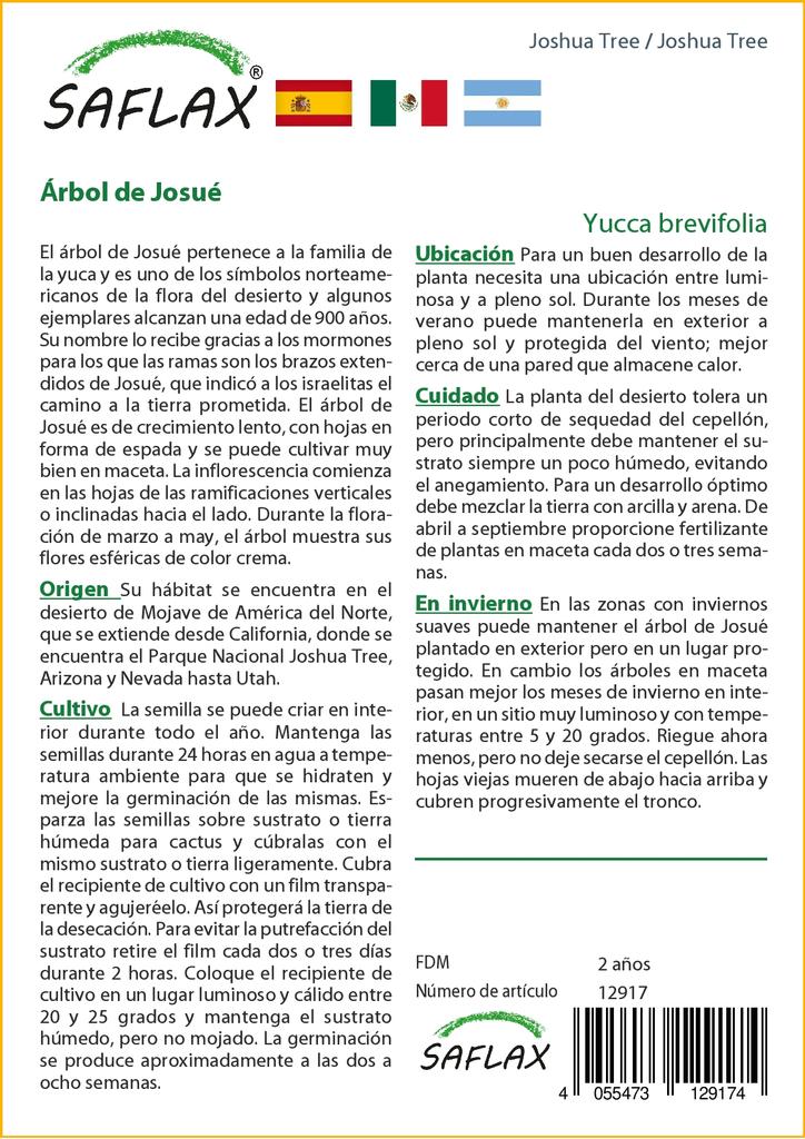 SAFLAX Дерево Джошуа - 10 семян - Юкка коротколистная