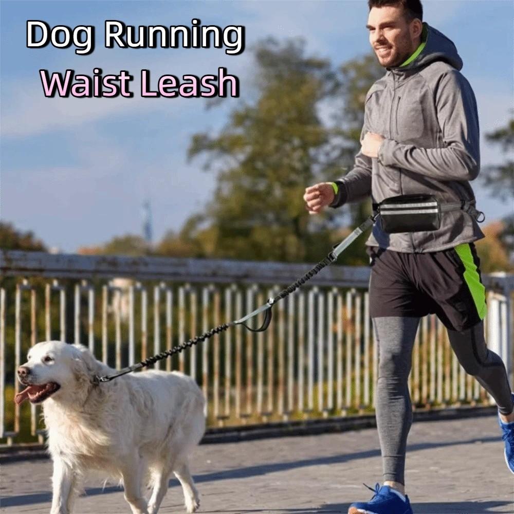 Reflective Strip Dog Running Waist Leash With Zipper Pouch Retractable Hands Free Dog Leash Double/Single Rope