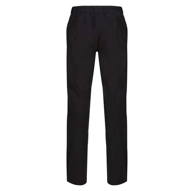 Regatta Dayhike IV Pants