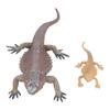 Lizard Life Cycle Figurine Toy Educational Interactive Lifelike Simulated Reptile Animal Figurine Se