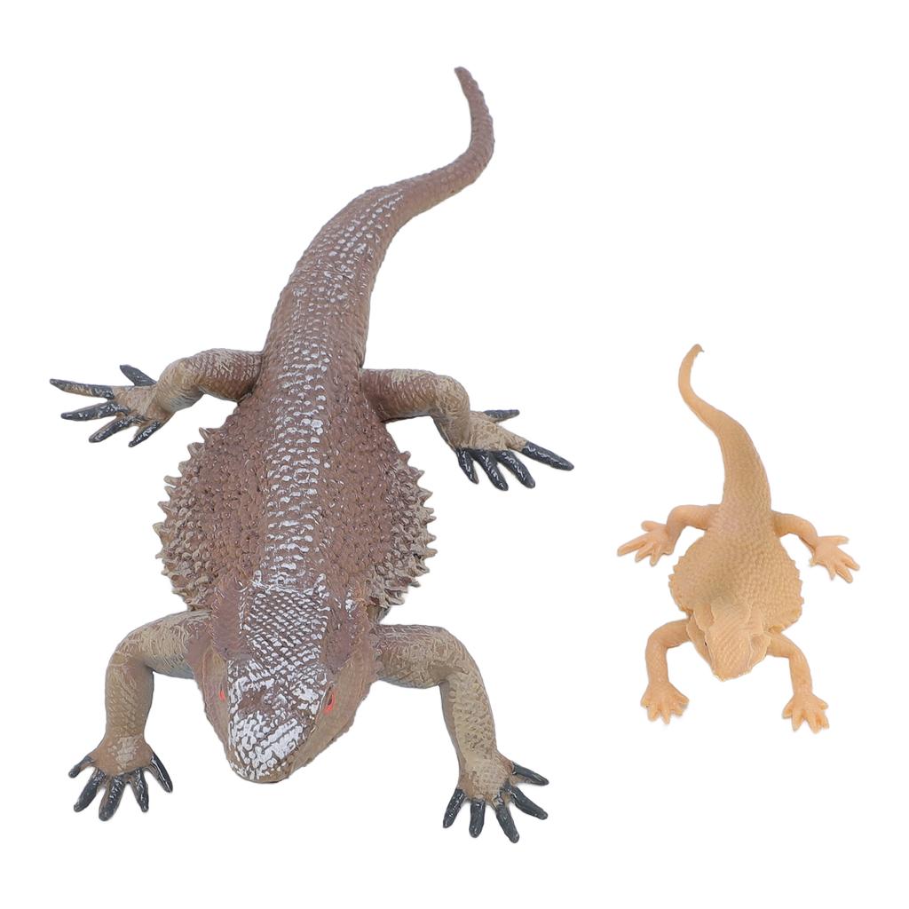 Lizard Life Cycle Figurine Toy Educational Interactive Lifelike Simulated Reptile Animal Figurine Se