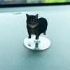 Cute Cat NEW Pattern Acrylic 360° Rotating Kitten Stands for Desk Decoration Home Decor Car Motorcycle Kids Adults Gifts