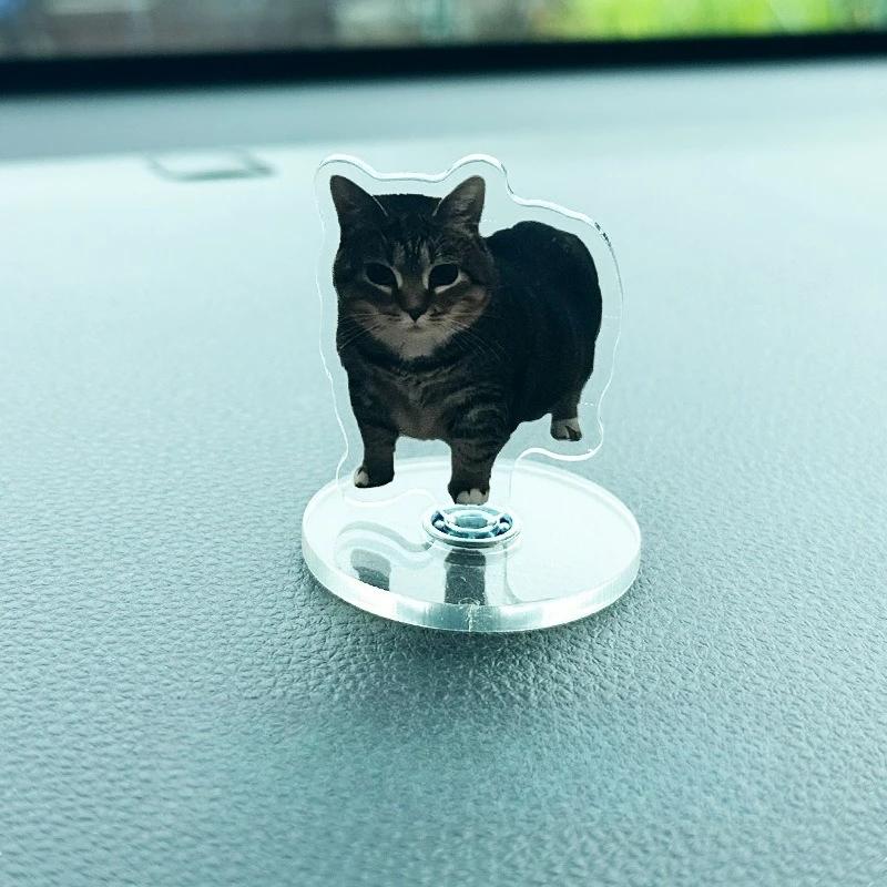 Cute Cat NEW Pattern Acrylic 360° Rotating Kitten Stands for Desk Decoration Home Decor Car Motorcycle Kids Adults Gifts