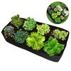 Fabric Planters Container Garden Bed Planting Nursery Pot Felt Grow Bag Flower Plant Pot Rectangle
