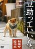 DVD - Wafuku Sohonke Mamesuke Is Great. POBD25020 Japan Movies & DVD Used