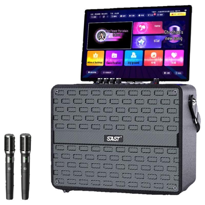 SAST SW92 Portable Outdoor Karaoke Speaker System (CN version)