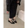 British Small Leather Shoes Thick Heel Single Shoes Shallow Mouth Square Head High Heels Women's 2024 Winter Mary Jane Shoes