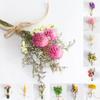 Natural Dried Flowers Fresh Preserved Gifts Mini Flowers Bouquet Party Decor DIY