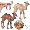 Монгольский Верблюд Детская Когнитивная Модель-Симулятор Игрушка