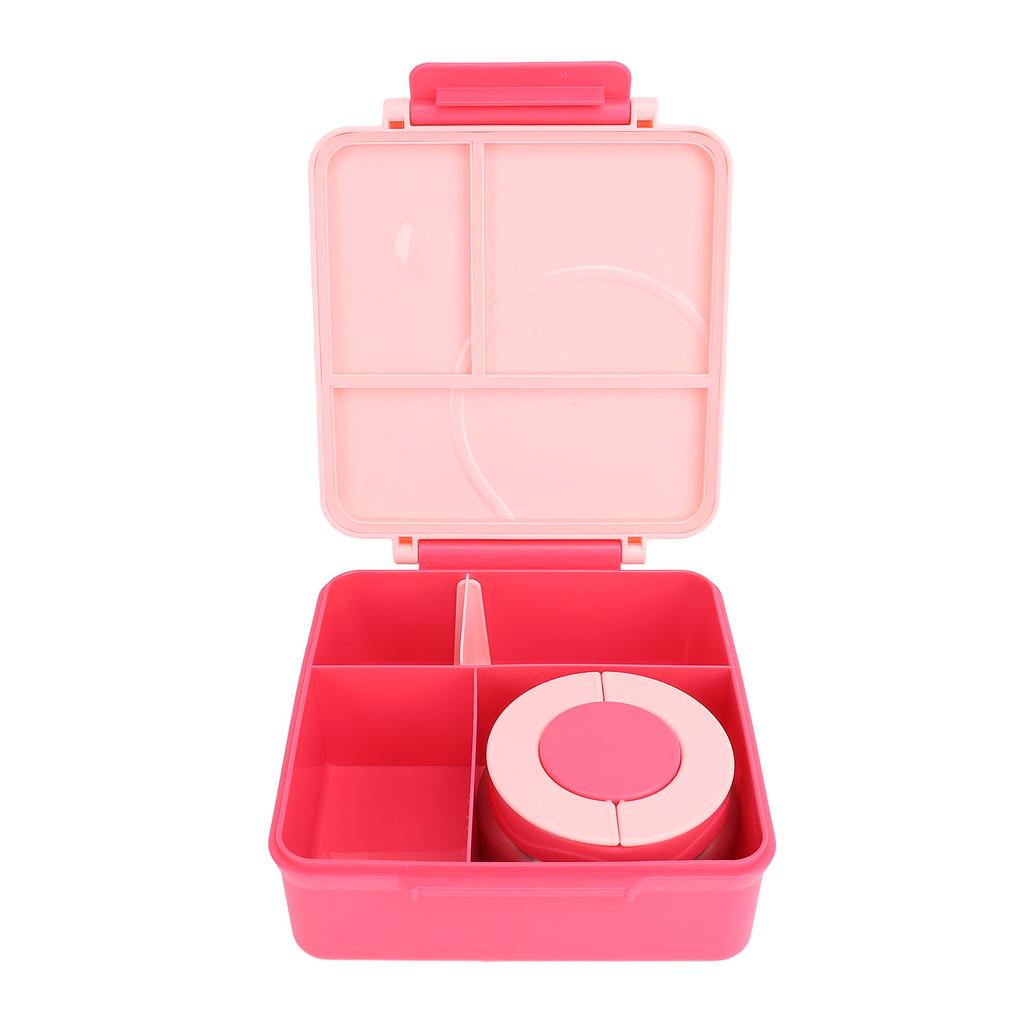 Lunch Container with Handle Sealed Multi Compartments Dishwasher Safe Lunch Box Container for Office School Roseate