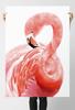 Плакат с розовым фламинго
