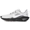 Pegasus Trail 5 'Vast Grey Black Gum' Мужские IB7667-001