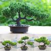 Plastic Simulation Pine Tree Handmade Artificial Bonsai Plants  Home Decoration