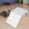 Aquarium Ramp for Turtle Basking And Climbing Activities