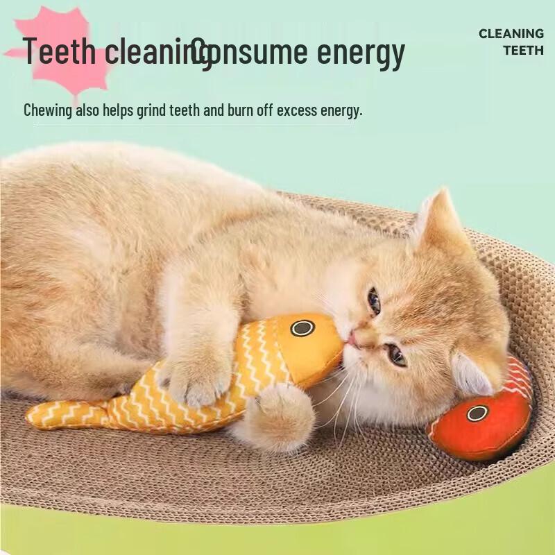 Hoopet Catnip Fish Toy