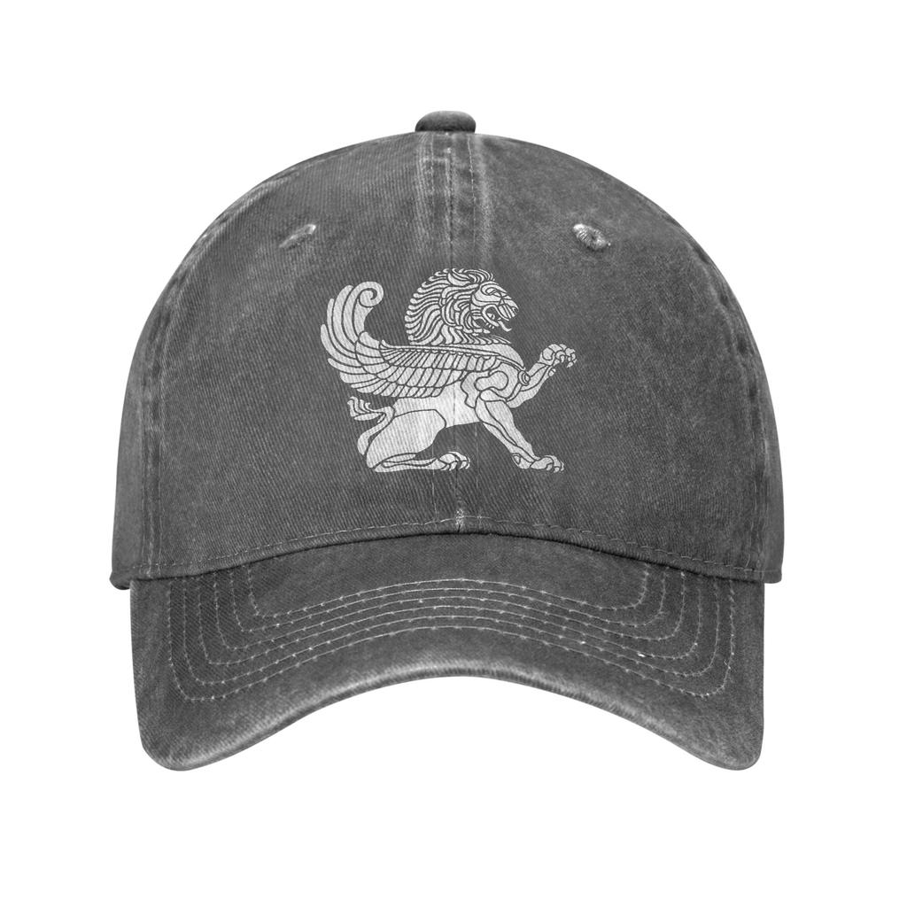 Persian Lion Iranian Baseball Cap Sun  Outdoor Gym Sun-Proof Washed Trucker Hat Women Unisex Casual Design Snapback Cap
